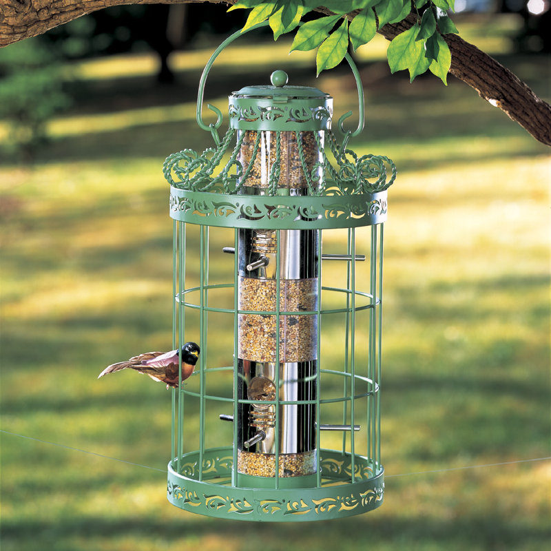 Winston Brands Springtime Decorative Bird Feeder & Reviews Wayfair